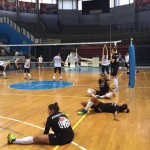 uyba amichevole 2016-17