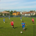 Gorla-Arsaghese