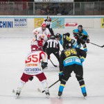 Troppi infortuni, ko casalingo per i Killer Bees
