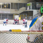 Big match al PalAlbani: Killer Bees pronti per il Ceresio