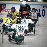 Armata Brancaleone fermata due volte dai Tori