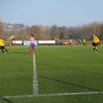 Belfortese-Guanzatese