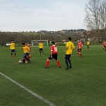 Belfortese-Arsaghese