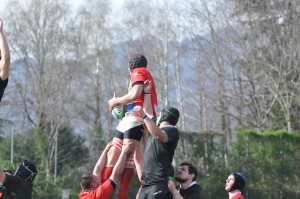 rugby varese