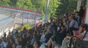 Pubblico Football Americano Varese