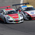 Rovera sulle montagne russe a Vallelunga