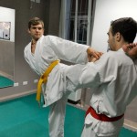 taekwondo malnate