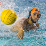 Len Euro Cup – BPM Sport Management, è fatta! Potsdam battuto, qualificazione matematica