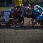 rugby varese