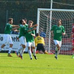 Varese spuntato, al Gozzano basta Gulin. Finisce 1-0