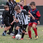 Malnatese, focus sui Primi Calci 2010: a San Benedetto del Tronto con Campioni in Tour