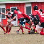 Poule promozione, il calendario: Varese inizia in casa