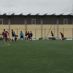 Belfortese-Vergiatese