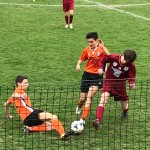 Giovanissimi Regionai 2003 Besnatese-Torino Club