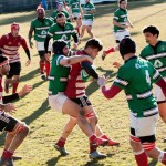 rugby varese