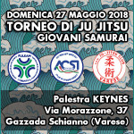 Banner Ju Jitsu