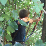 Progetto Ark?n-Tiro Dinamico con l’Arco, fioccano podi per gli Arcieri della Grande Quercia