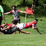 rugby varese