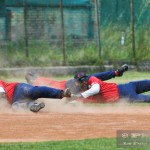 Baseball – Patrini Malnate a caccia della Coppa Italia