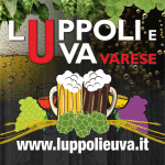 Luppoli e Uva banner-300×305