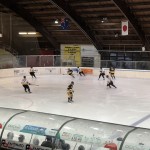 Show dei Mastini, Varese vince all’esordio