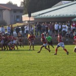 rugby varese