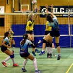 Luino Volley, rientro a mani vuote dalla trasferta a Pavia