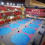 Al Palayamamay il meglio del taekwondo