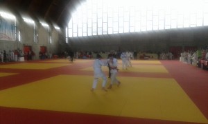 judo Gerenzano
