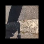 Addetto stampa del Varese aggredisce la nostra giornalista – VIDEO