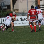 Serie B – Sconfitta con onore per Varese a Piacenza