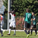 Le pagelle di Varese-Castellanzese: gialli che pesano. Gibellini sopra a tutti