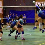 Luino Volley corsara a Tromello: tre punti d’oro balzo in classifica
