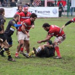 Rugby Varese, ultima amichevole a Rho