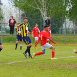 29^ GIORNATA IN DIRETTA: Castellanzese, festa rovinata. Sorpasso Legnano. Cassano, traguardo playout