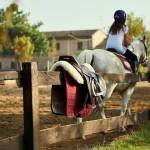 Rivoluzione nel mondo equestre