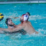 Final Eight di Champions League, Banco BPM Sport Management sconfitto dallo Jug Dubrovnik