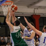C Gold, mercato scoppiettante per Gallarate. Valentino: “Miglioriamoci”