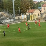 varesina