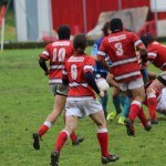 Rugby Varese 14