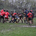 rugby varese by erica castiglioni