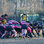 UISP – Unni ad Abbiategrasso. I Rosafanti ospitano i Lionsabres, De Bernardi: “Dobbiamo vincere”