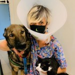 Animali maltrattati, abbandonati e sepolti vivi. La denuncia del veterinario: “Colpa del Coronavirus”