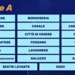 Serie D, ecco i gironi. Città di Varese e le altre tutte insieme
