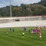 Città di Varese in diretta Facebook, Amirante: “Lo dobbiamo ai nostri tifosi”