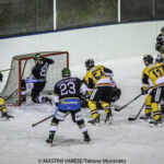 mastini varese-merano munerato 2