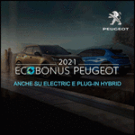 Peugeot 300×300