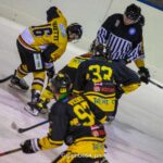 Arriva la capolista Valdifiemme, buon banco di prova per i Mastini
