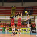 Settimana decisiva per la UYBA per Champions e playoff. Farfalle in rampa di lancio