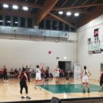Pallacanestro Femminile Varese sfida per il primo posto con Giussano. Premazzi: “Vogliamo la vittoria”